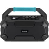 TechniSat VIOLA 231 OD, Radio schwarz, Retail