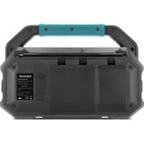 TechniSat VIOLA 231 OD, Radio schwarz, Retail
