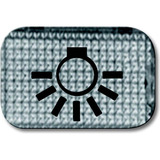 Busch-Jaeger Tastersymbol Licht 2145 LI, Schalter transparent, Retail