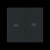 Busch-Jaeger Wippe Jalousie Pfeil auf ab schwarz, Retail