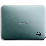 Busch-Jaeger Wippe mit Symbol Klingel titan, Retail