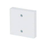 Busch-Jaeger Zentralscheibe, Abdeckung weiß, Retail