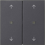 Gira Wippe zwei fach anthrazit, Retail