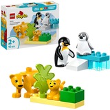 LEGO 10442 DUPLO Town Wildtier-Familien: Pinguine und Löwen, Konstruktionsspielzeug 