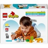 LEGO 10442 DUPLO Town Wildtier-Familien: Pinguine und Löwen, Konstruktionsspielzeug 