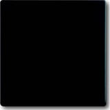 Busch-Jaeger Wippe matt zweiteilig schwarz, Retail