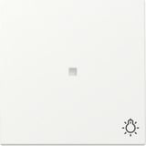 Gira Wippe Kontrollfenster und Symbol weiß, Retail