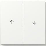 Gira Wippe zweifach mit Pfeilsymbolen weiß, Retail