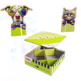 HABA Team Quiz Challenge - Katzen vs. Hunde, Quizspiel 