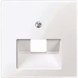 Merten Zentralplatte für Universal-Anschluss-Einsätze, Unterputzmontage, glänzend, Kunststoff weiß (glänzend), Retail