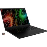 Razer Blade 14 (RZ09-0482VGH3-R3G1), Gaming-Notebook schwarz, Windows 11 Home 64-Bit, 240 Hz Display, 1 TB SSD
