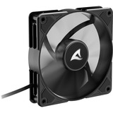 Sharkoon Sharkoon SilentStorm BW120 PWM Fan, Gehäuselüfter 120 mm