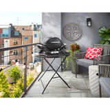 Weber Gasgrill Q 1100N schwarz, 2,93 kW