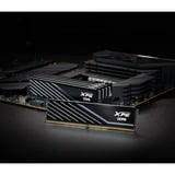 ADATA DIMM 32 GB DDR5-6000 (2x 16 GB) Dual-Kit, Arbeitsspeicher schwarz, AX5U6000C4816G-DTLABBK, XPG Lancer Blade, INTEL XMP, AMD EXPO