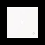 Busch-Jaeger Wippe mit Symbol Licht mit transparenter Kalotte weiß, Retail