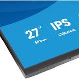iiyama ProLite XB2797QSU-B1, LED-Monitor 68.5 cm (27 Zoll), schwarz (matt), QHD, IPS, HDMI, DP, USB-Hub, Ergonomischer Standfuß