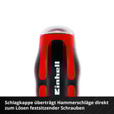 EINHELL Schraubendreher-Set, in E-Case-Einleger, Werkzeug-Set schwarz/rot, 17-teilig