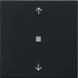 Gira Funk Bedienaufsatz mit Pfeilsymbolen lackiert matt, Fernsteuerung schwarz, Retail