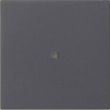 Gira Wippe einfach anthrazit, Retail