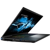 Medion ERAZER BEAST X40 (MD62505), Gaming-Notebook schwarz, Windows 11 Home 64-Bit, 240 Hz Display, 1 TB SSD