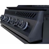 Napoleon Gasgrill 300-Serie 32" Einbau schwarz (matt), mit IR-Heckbrenner
