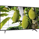 TCL 55Q6C Mini-LED, QLED-Fernseher 138.8 cm (55 Zoll), schwarz, UltraHD/4K, Google TV, Triple Tuner, 144Hz Panel