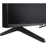 TCL 55Q6C Mini-LED, QLED-Fernseher 138.8 cm (55 Zoll), schwarz, UltraHD/4K, Google TV, Triple Tuner, 144Hz Panel