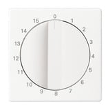 Busch-Jaeger Wippe mit Kalotte Kontroll weiß, Retail