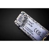 Intenso TOP 128 GB, SSD SATA 6 Gb/s, M.2 2280