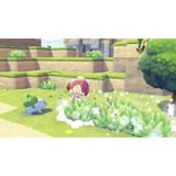 Nintendo Pokémon Pokopia-Spiel 