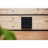 Senic Works with Hue Outdoor Switch, Taster schwarz