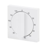 Busch-Jaeger Zentralscheibe Bedienelement, Zeitschaltuhr weiß, Retail