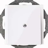 Merten Zentralplatte mit Traggestell und Zugentlastung, Unterputz, Kunststoff, glänzend weiß (glänzend), Retail