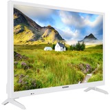 Telefunken XH24J101-W, LED-Fernseher 60 cm(24 Zoll), weiß, Triple Tuner, WXGA, USB