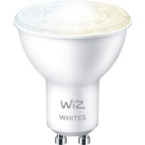 WiZ Whites LED-Spot PAR16 GU10, LED-Lampe ersetzt 50 Watt