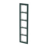 Busch-Jaeger Abdeckrahmen 5-fach, Abdeckung grün, Retail