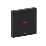 Busch-Jaeger Kontroll-Wippe mit Aufdruck Ein Aus anthrazit, Retail