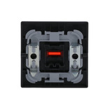 Busch-Jaeger Kontroll-Wippe mit Aufdruck Ein Aus anthrazit, Retail