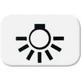 Busch-Jaeger Tastersymbol aws 2525 LI-214, Rahmen weiß, Retail