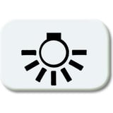 Busch-Jaeger Tastersymbol aws 2525 LI-214, Rahmen weiß, Retail