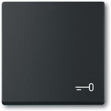 Busch-Jaeger Wippe mit Aufdruck schwarz, Retail