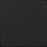 Gira Wippe gerade schwarz, Retail