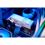 Kingston FURY DIMM 32 GB DDR5-5600 (2x 16 GB) Dual-Kit, Arbeitsspeicher weiß, KF556C40BWAK2-32, FURY Beast RGB, INTEL XMP