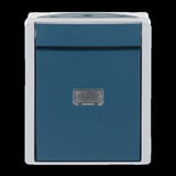 Busch-Jaeger Taster Wechsler Aufputz mit Komplettgehäuse, Druckknopf, mit Beleuchtung, IP44 blaugrün, Retail