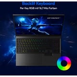 Medion ERAZER Beast 16 X1 Ultimate (MD600063), Gaming-Notebook schwarz, Intel® Core™ Ultra 9 290HX Plus, NVIDIA GeForce RTX 5080, 32 GB DDR5, 2 TB (2 TB SSD), Windows 11 Home