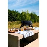 Napoleon Gasgrill TRAVELQ 240 schwarz