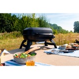 Napoleon Gasgrill TRAVELQ 240 schwarz