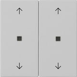 Gira Wippe zwei fach mit Pfeilsymbolen und Kontrollfenster lackiert matt grau, Retail