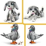 LEGO 31163 Creator 3-in-1 Graue Katze, Konstruktionsspielzeug 