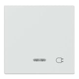 Merten Wippe Kontrollschalter- und Taster-Einsatz Retail